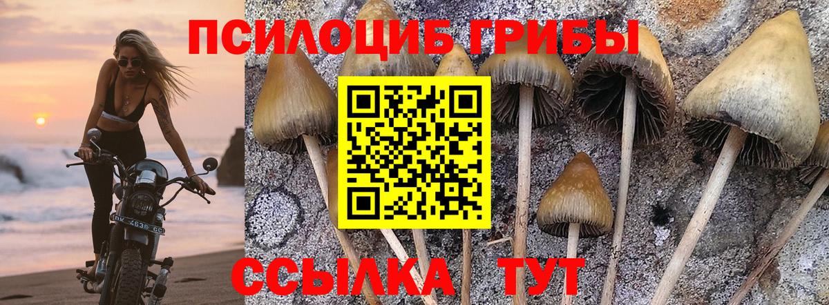 Краснознаменск  Псилоцибиновые грибы мухоморы  Вход с VPN 