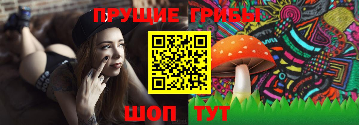 Псилоцибиновые грибы прущие грибы Краснознаменск